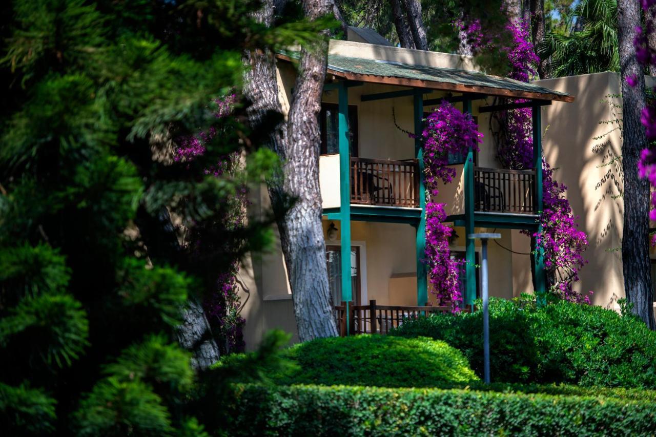 Turquoise Hotel Σιντέ Εξωτερικό φωτογραφία